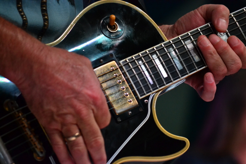 Howard at Big Bull Falls Blues Festival 2015